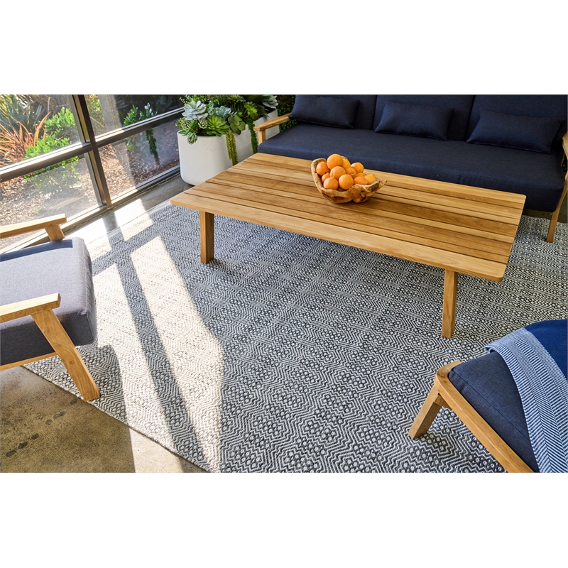 Echo Flatweave Pet Ivory/Black 6'x9' Area Rug