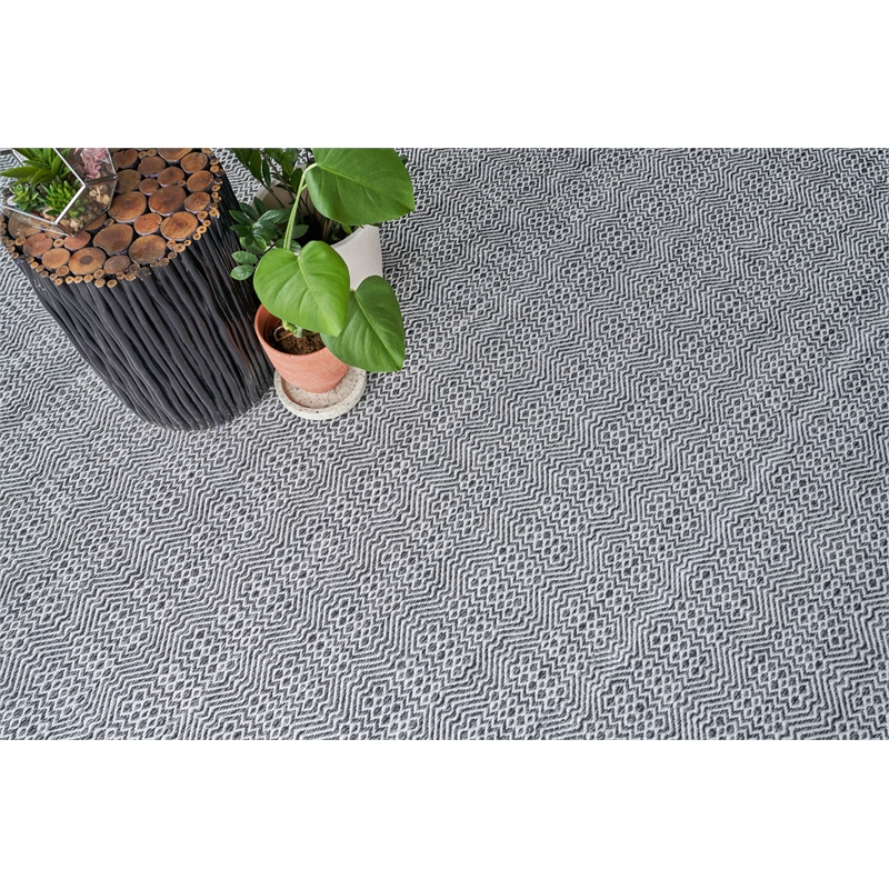 Echo Flatweave Pet Ivory/Black 8'x10' Area Rug