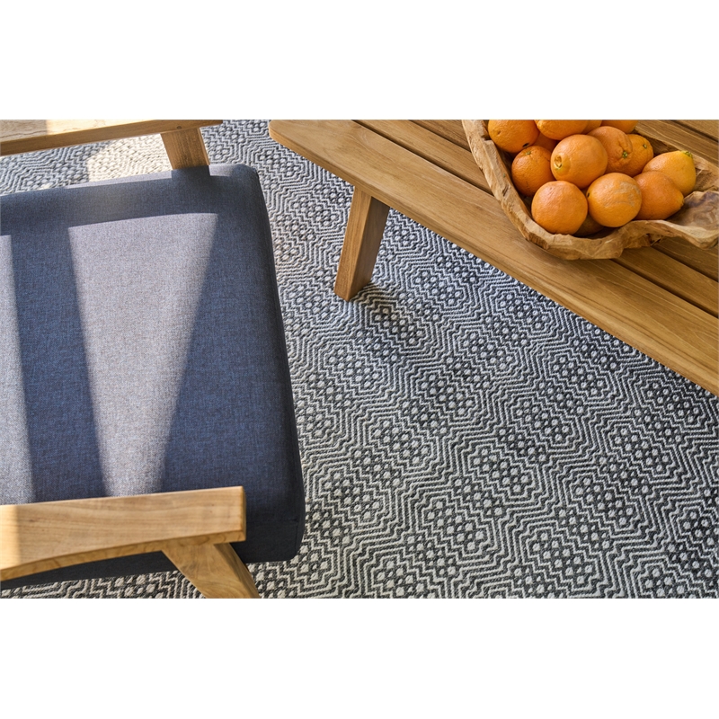 Echo Flatweave Pet Ivory/Black 9'x12' Area Rug