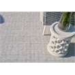 Echo Flatweave Pet Ivory/Light Silver 2'x3' Area Rug