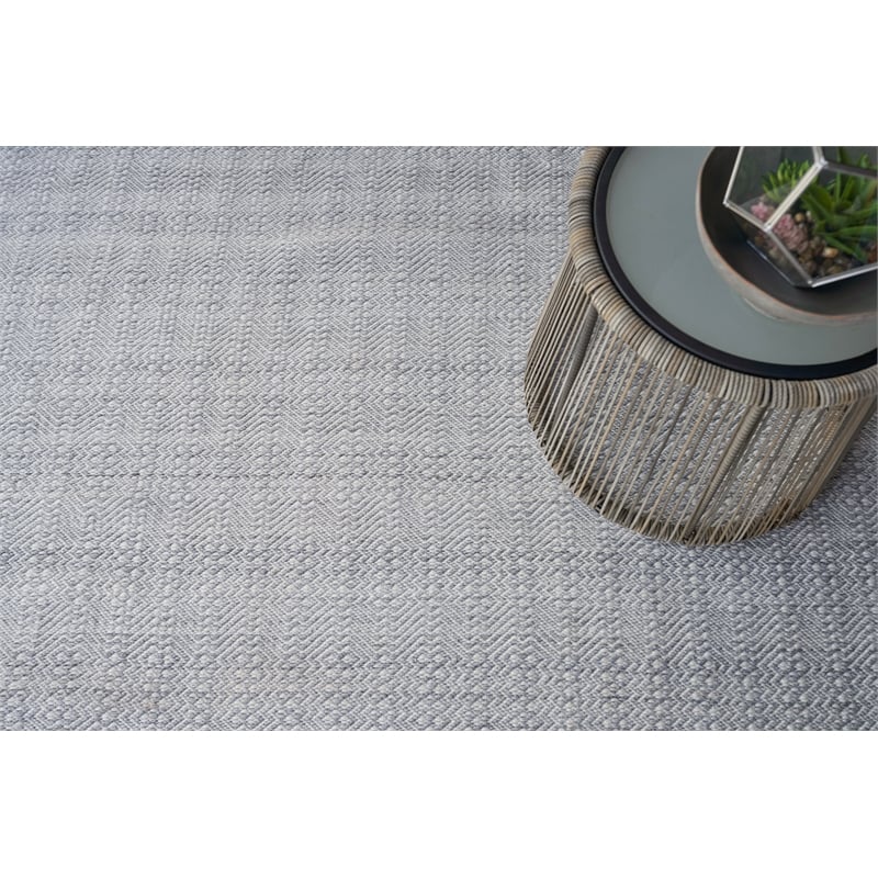 Echo Flatweave Pet Ivory/Light Silver 5'x8' Area Rug
