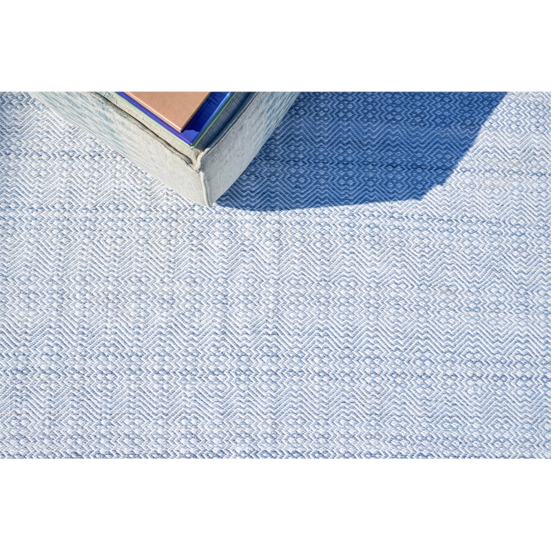 Echo Flatweave Pet Light Blue 9'x12' Area Rug