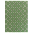 Flatweave Flatweave New Zealand Wool Mint 5'x8' Area Rug