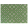 Flatweave Flatweave New Zealand Wool Mint 5'x8' Area Rug