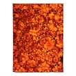 Flatweave Flatweave New Zealand Wool Orange/Red 9'6