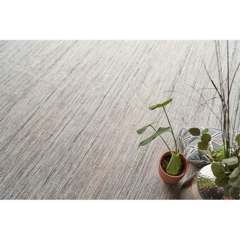 Kashmir Flatweave Pet Light Taupe 8'x10' Area Rug
