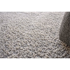 Morello Handloomed Pet Ivory/Dark Gray 2'x3' Area Rug