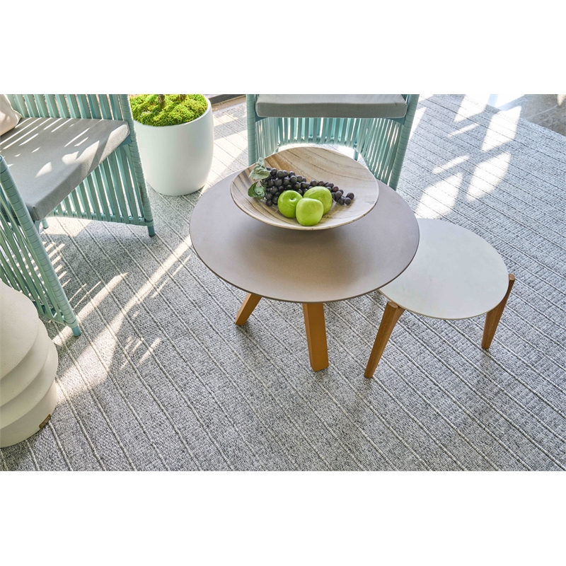Flatweave Pet Gray 3'x5' Area Rug