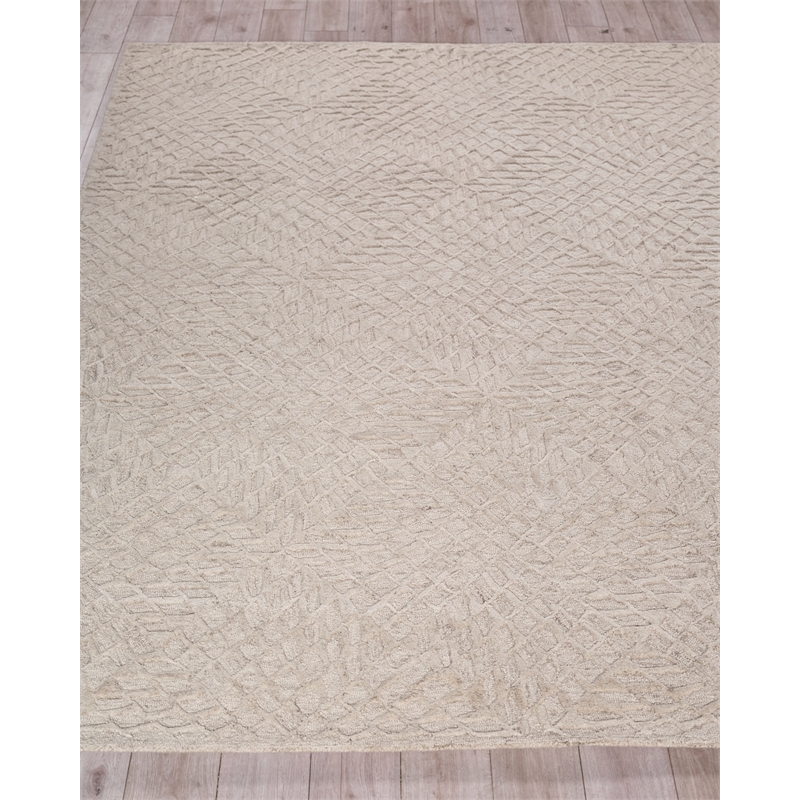 Sandro Hand-Tufted New Zealand Wool Silver 10'x14' Area Rug