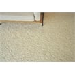 Tocayo Flatweave New Zealand Wool Ivory 12'x15' Area Rug