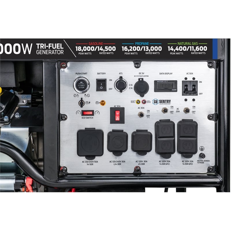 Ford 18000 Watt Tri-Fuel Portable Generator with Remote Start in Blue