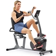 Sunny Health & Fitness Smart Mag Recumb Bike w/ Hand Cycle in Gray