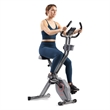 Sunny Health & Fitness Foldable Mag X-Bike Pro in Gray
