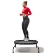 Sunny Health & Fitness 36