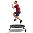 Sunny Health & Fitness 40