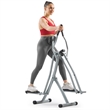 Sunny Health & Fitness Smart Air Walk Trainer in Grey