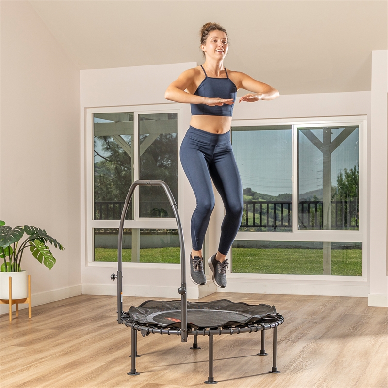 Sunny Health & Fitness 40