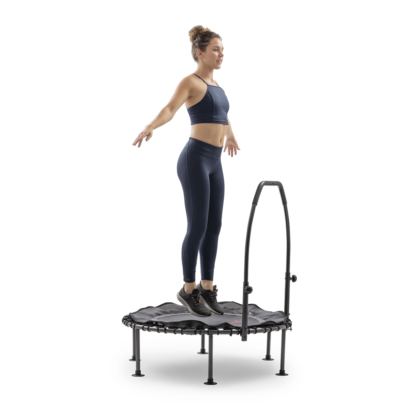 Sunny Health & Fitness 40