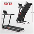 Sunny Health & Fitness Active 400 Smart Auto Incline Treadmill in Black/Red