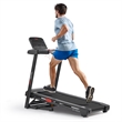 Sunny Health & Fitness Active 400 Smart Auto Incline Treadmill in Black/Red