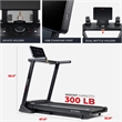 Sunny Health & Fitness Astra Elite Auto Incline Brushless Motor Treadmill- Black