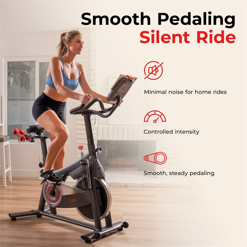 Sunny Health & Fitness PACE 300 Smart Mag Cycling Bike in Gray