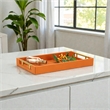 Lusan Vinyl Tray - Orange
