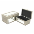Larkspur Set of 2 Gray Washed Mirrored Wood Boxes