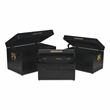 Sable Set of 3 Trunks with Gold Handles - Black