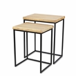 Elora Modern Set of 2 Rect. Wood & Metal Side Tables