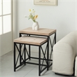 Briarcrest Set of 2 Wood & Metal Side Tables