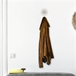 Solva Coastal Colored Sand Dollar Cast Iron Wall Hook