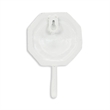 Solva Coastal Colored Sand Dollar Cast Iron Wall Hook