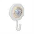 Solva Coastal Colored Sand Dollar Cast Iron Wall Hook