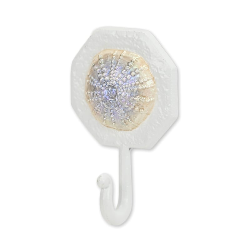 Solva Coastal Colored Sand Dollar Cast Iron Wall Hook