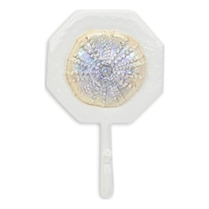Solva Coastal Colored Sand Dollar Cast Iron Wall Hook