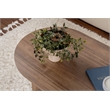ASIR Hanah Home Sable Coffee Table in Venezia Walnut