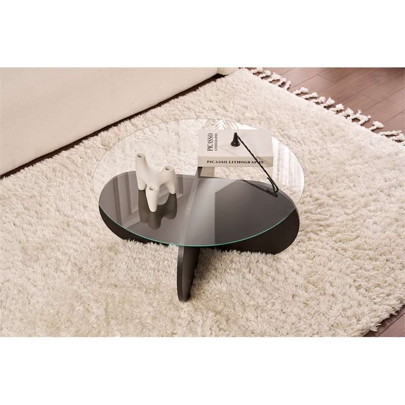 ASIR Hanah Home Aeris Coffee Table in Transparent Black