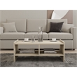 ASIR Hanah Home Pera Coffee Table in Travertine