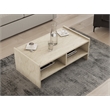 ASIR Hanah Home Pera Coffee Table in Travertine