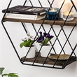 ASIR Hanah Home Liliales Wall Shelf in Walnut