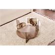 ASIR Hanah Home Clara Coffee Table in Transparent Venezia Walnut