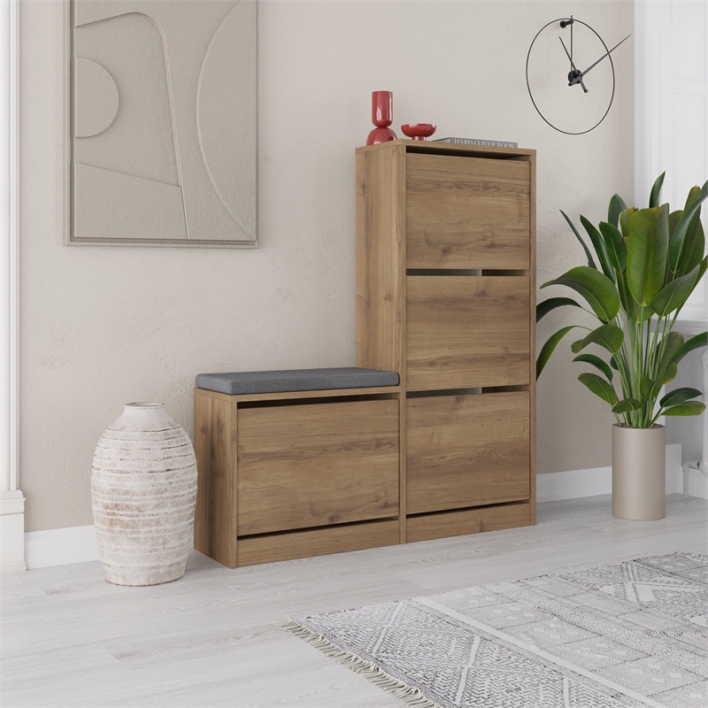 ASIR Hanah Home Dude Shoe Cabinet in Hitit