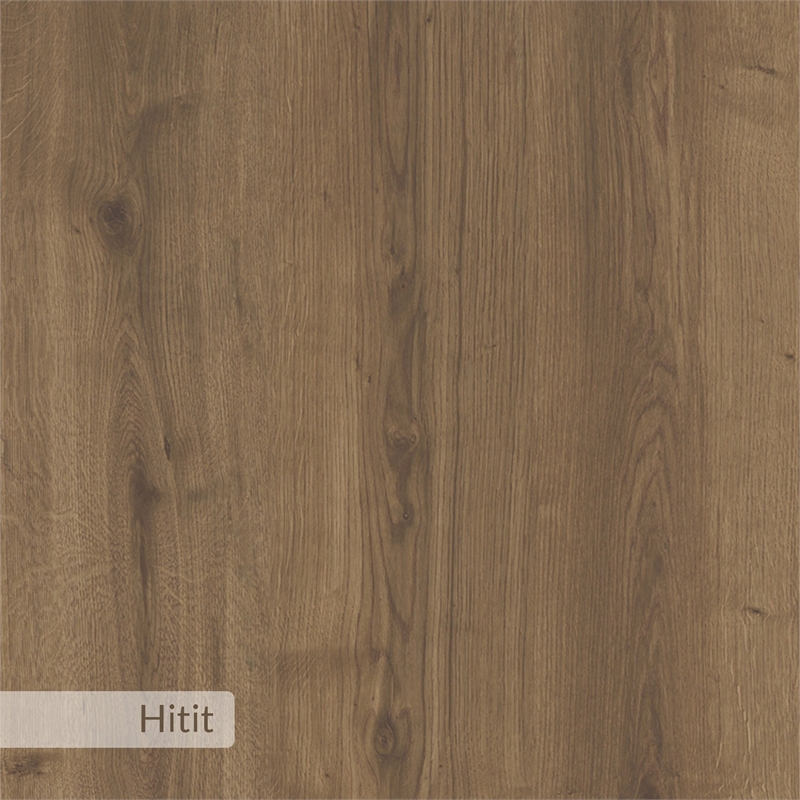 ASIR Hanah Home Dude Shoe Cabinet in Hitit