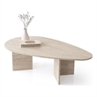 ASIR Hanah Home Flap 9542 Coffee Table in Beige
