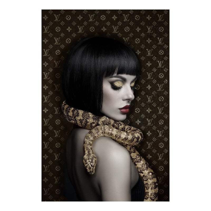 Slithering Multi-Color Canvas Wall Art - Wood Frame - 32