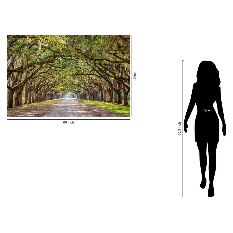 Oak Alley Frameless Multi-Color Tempered Glass Wall Art - 60