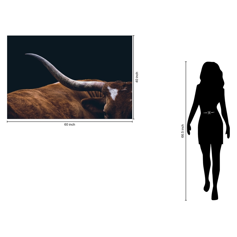 Texas Longhorn Frameless Multi-Color Tempered Glass Wall Art - 60