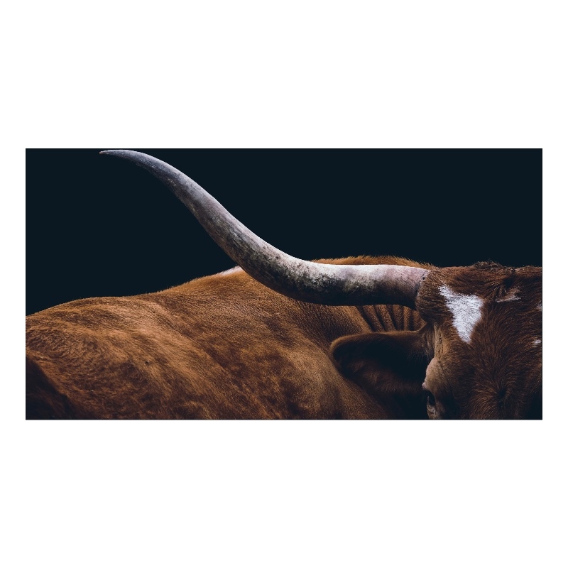 Texas Longhorn Frameless Multi-Color Tempered Glass Wall Art - 60