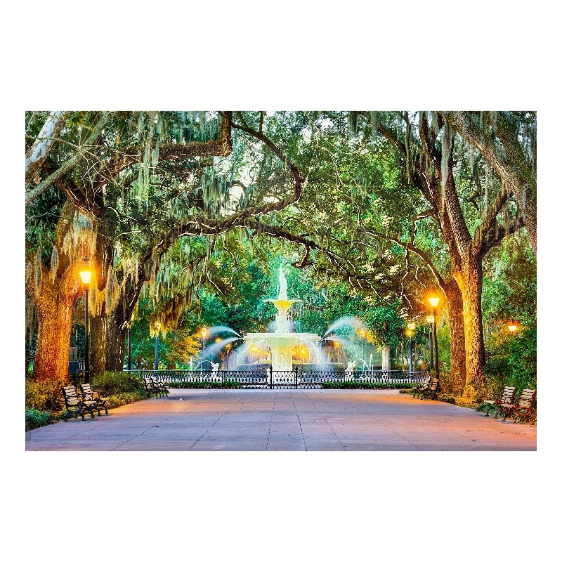 Forsyth Park Savannah Frameless Multi-Color Tempered Glass Wall Art - 60